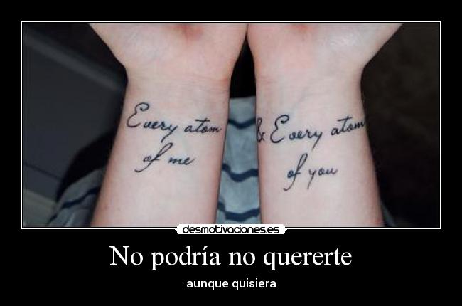 No podría no quererte -