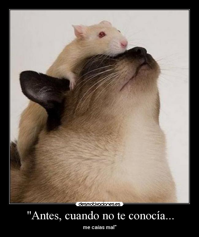 Antes, cuando no te conocía... -