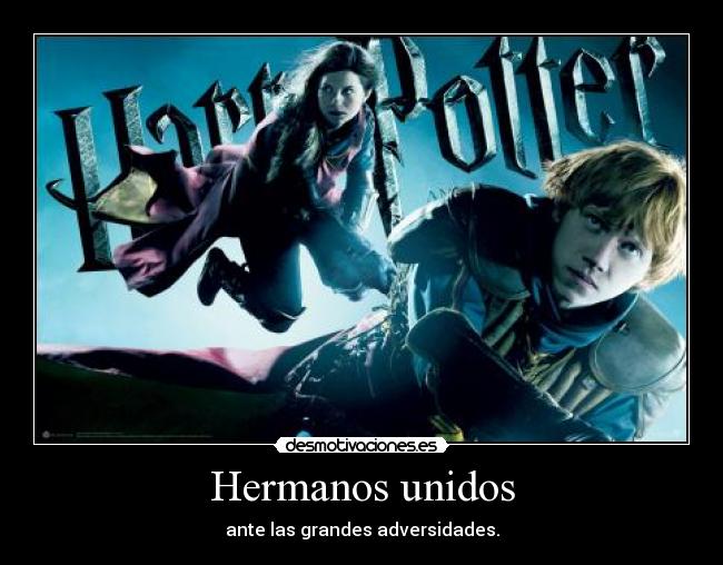 carteles ginny ron desmotivaciones