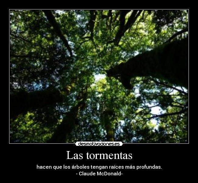 Las tormentas - 