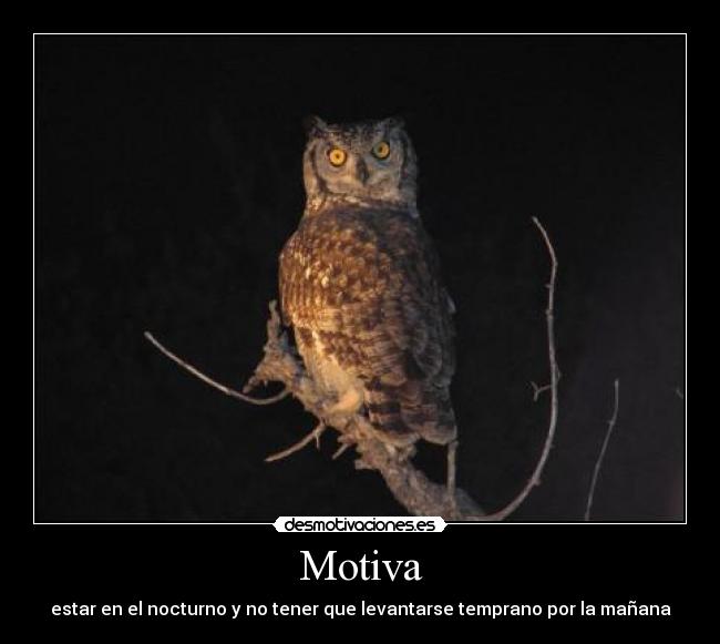 Motiva -