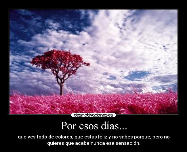 Por esos días... - que ves todo de colores, que estas feliz y no sabes porque, pero no
quieres que acabe nunca esa sensación.