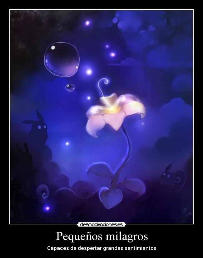 Pequeños milagros - Capaces de despertar grandes sentimientos