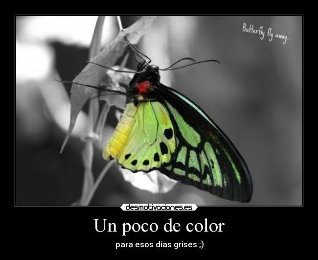 Un poco de color - para esos días grises ;)