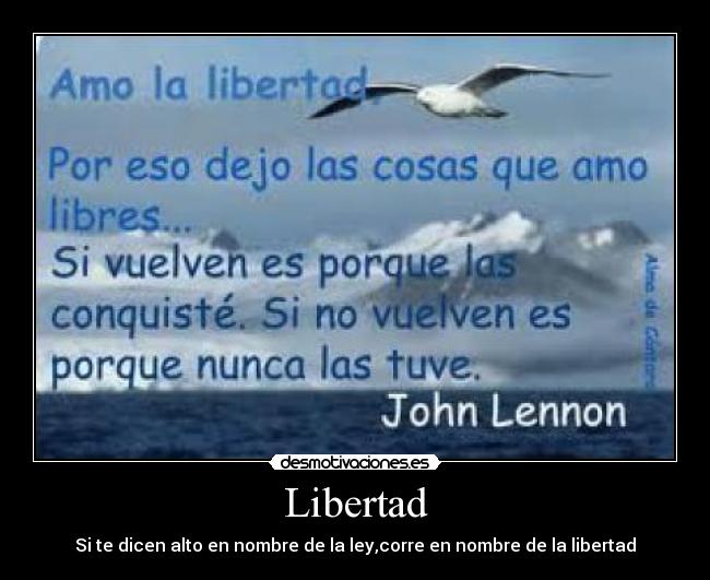 carteles libertad libertad desmotivaciones