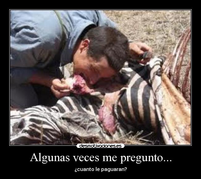 Algunas veces me pregunto... - ¿cuanto le paguaran?