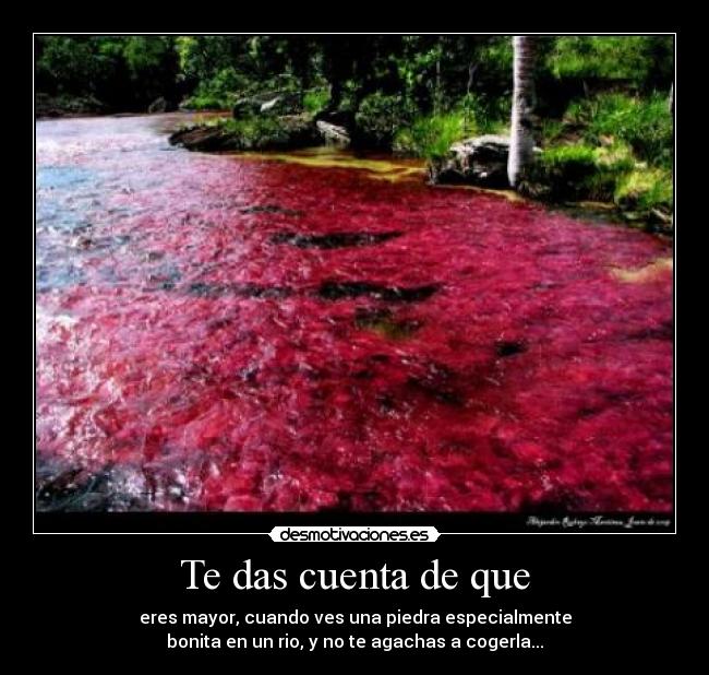 Te das cuenta de que - eres mayor, cuando ves una piedra especialmente
bonita en un rio, y no te agachas a cogerla...