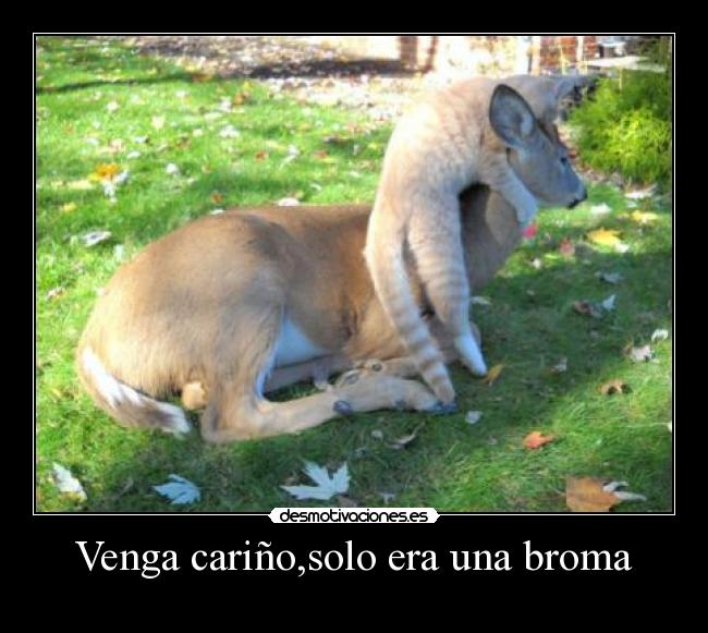 Venga cariño,solo era una broma -