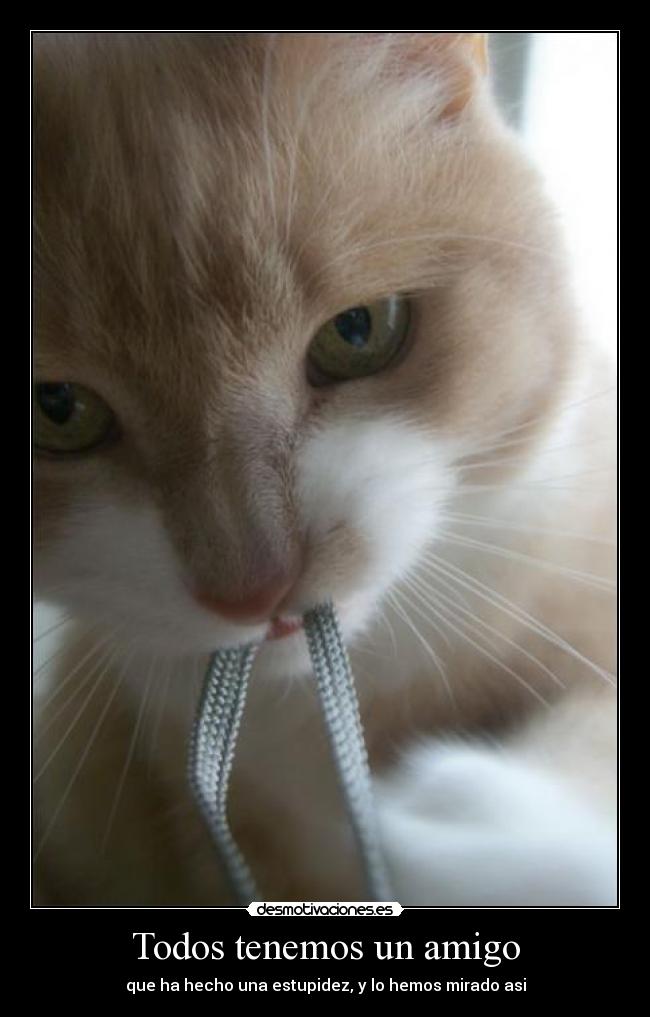 Todos tenemos un amigo - que ha hecho una estupidez, y lo hemos mirado asi