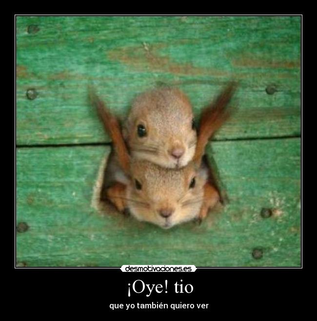 ¡Oye! tio - 