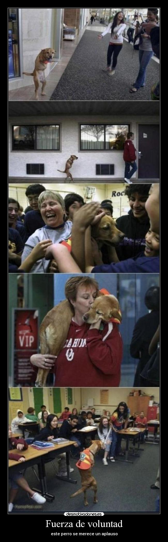 Fuerza de voluntad -