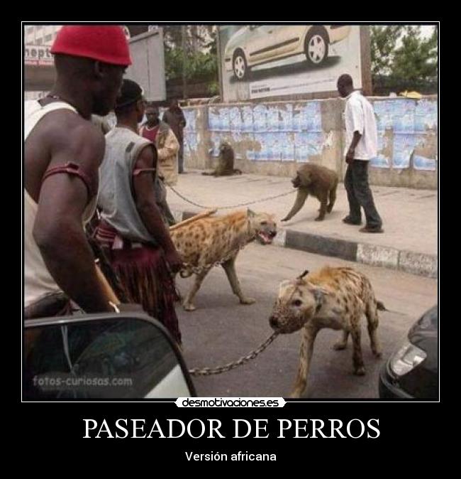 PASEADOR DE PERROS - 