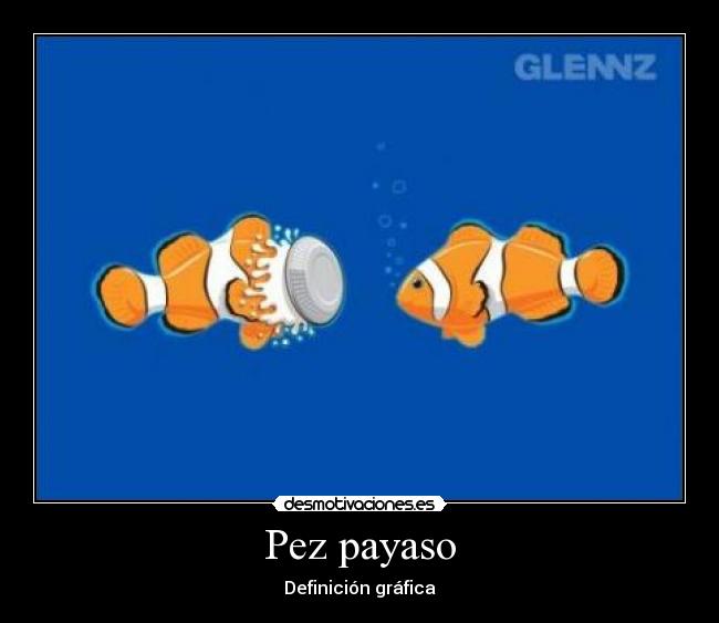 Pez payaso - Definición gráfica