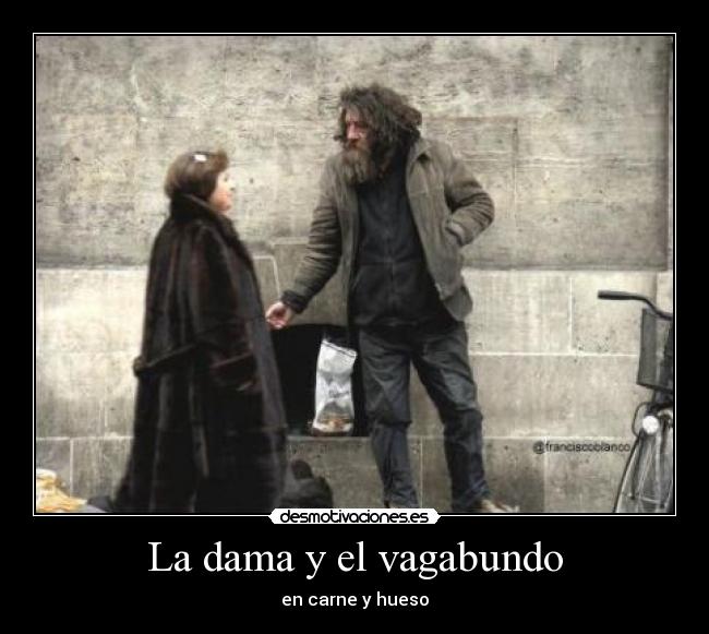 La dama y el vagabundo - 