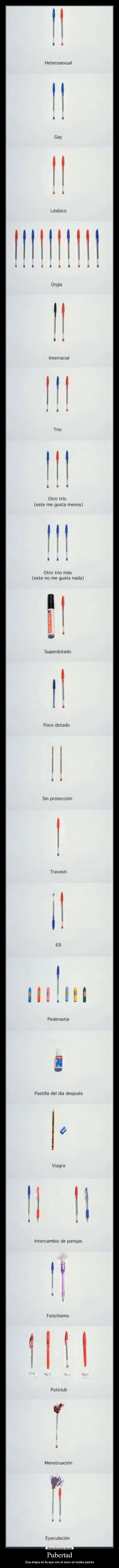 Pubertad - Esa etapa en la que ves el sexo en todas partes