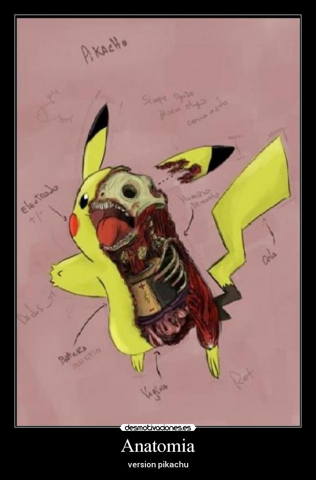 Anatomia - version pikachu