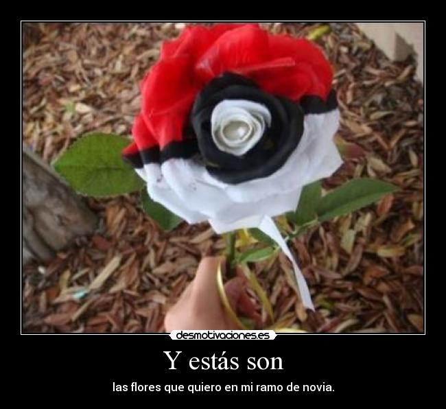 carteles flores pokeball ramo novia desmotivaciones