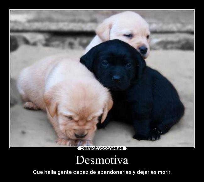 Desmotiva - 