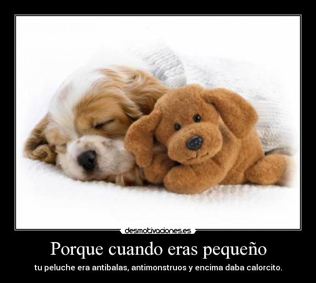 Porque cuando eras pequeño - tu peluche era antibalas, antimonstruos y encima daba calorcito.