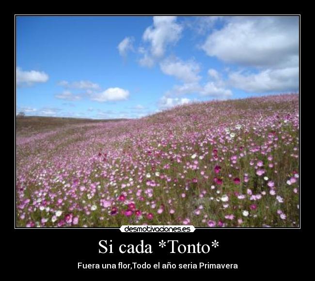 Si cada *Tonto* - Fuera una flor,Todo el año seria Primavera