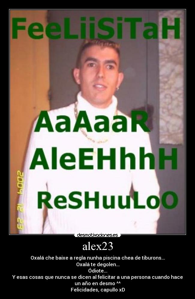 carteles felicitando alex23 con ayuda chemachanta pequena saltamontes ultimo momento desmotivaciones
