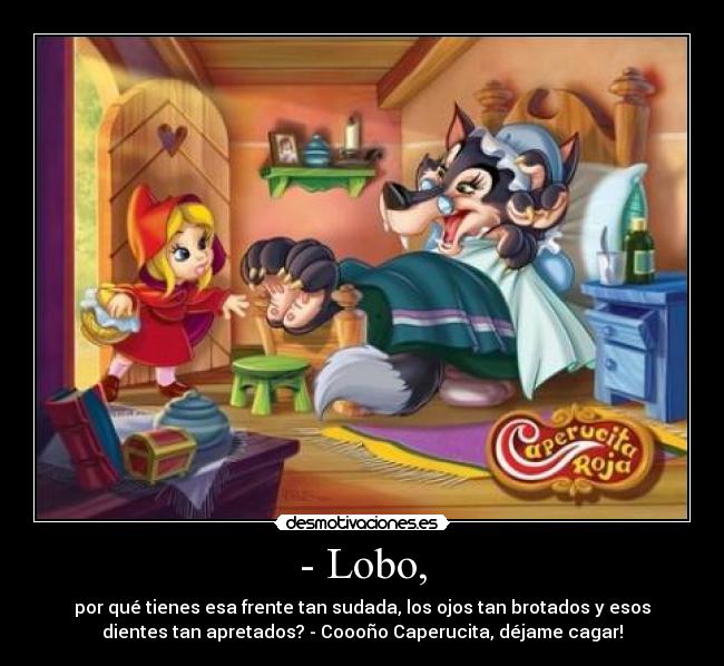 - Lobo, -