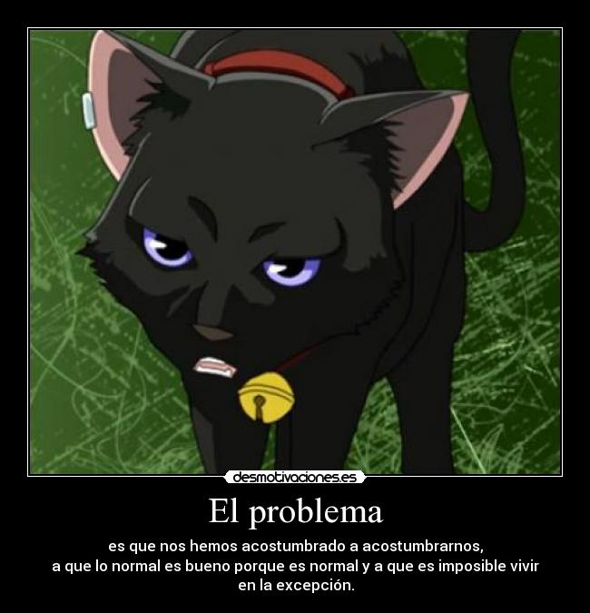 El problema -