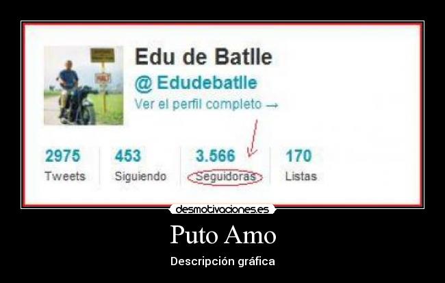 Puto Amo - Descripción gráfica