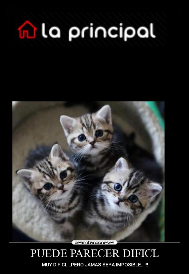 PUEDE PARECER DIFICL -