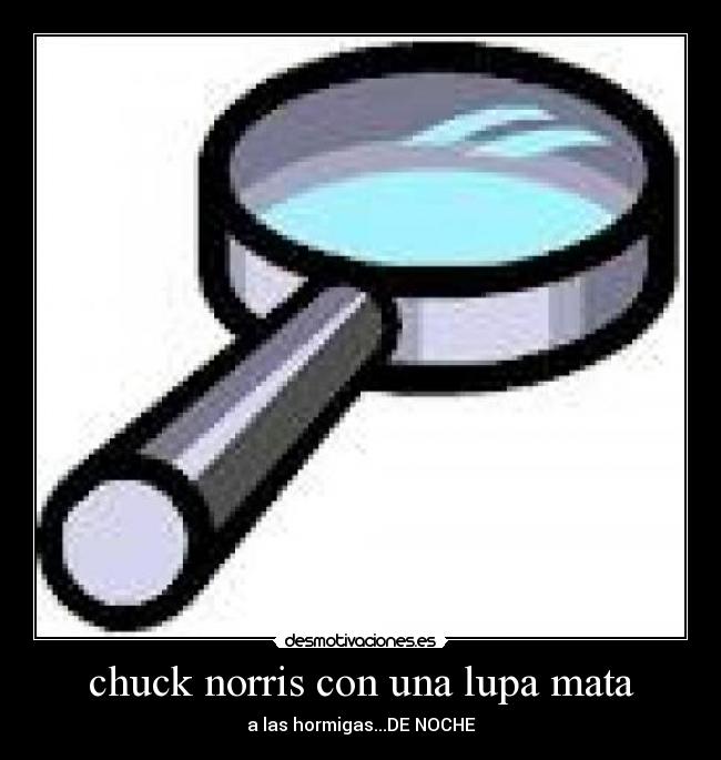 carteles noche chuck norris lupa desmotivaciones