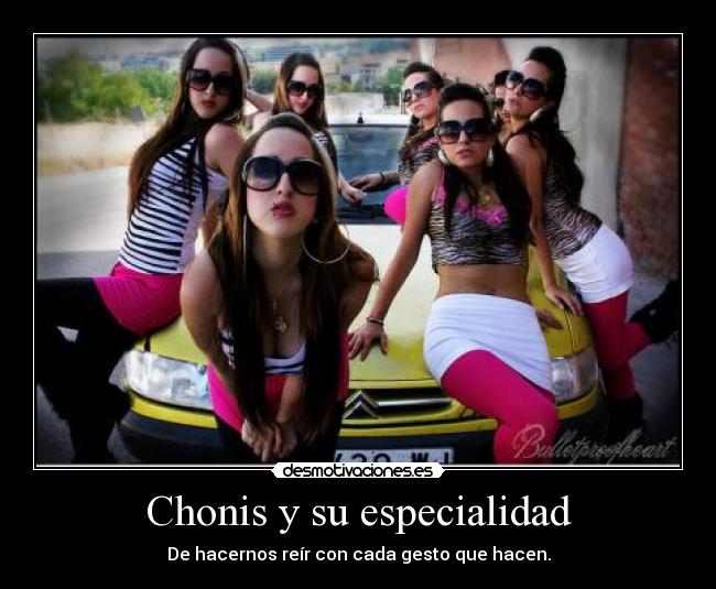 Chonis y su especialidad - De hacernos reír con cada gesto que hacen.