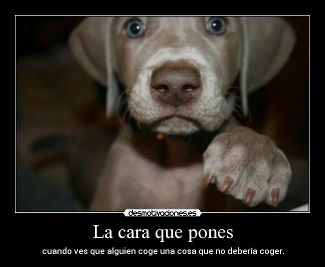 carteles boniita nooooooooooooooooooooooooooooooooooooooooo desmotivaciones