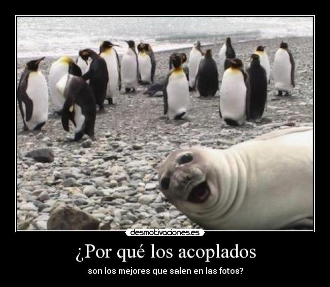 ¿Por qué los acoplados - 