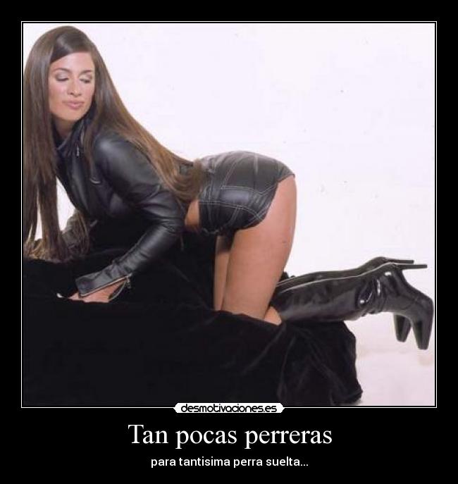 Tan pocas perreras -