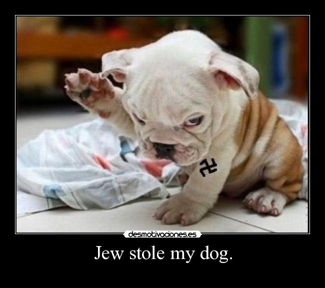 Jew stole my dog. - 