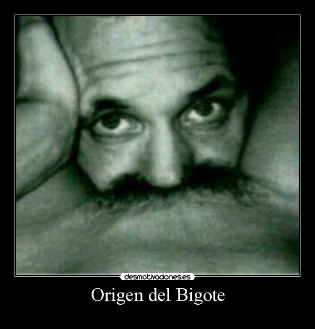 Origen del Bigote - 