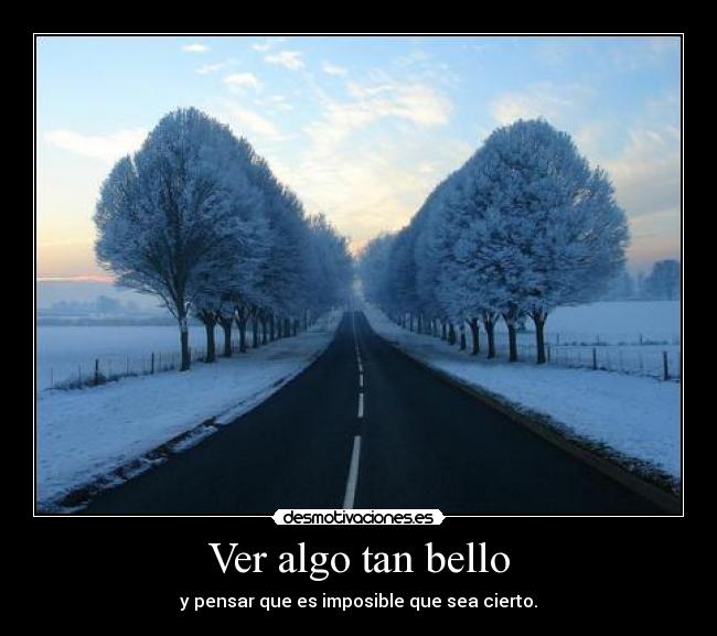 Ver algo tan bello - 