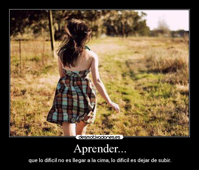 carteles kamiiz desmotivaciones