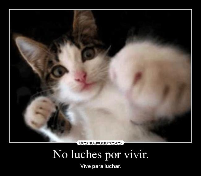 No luches por vivir. - Vive para luchar.