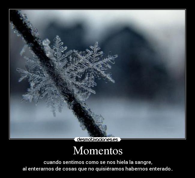 Momentos - 
