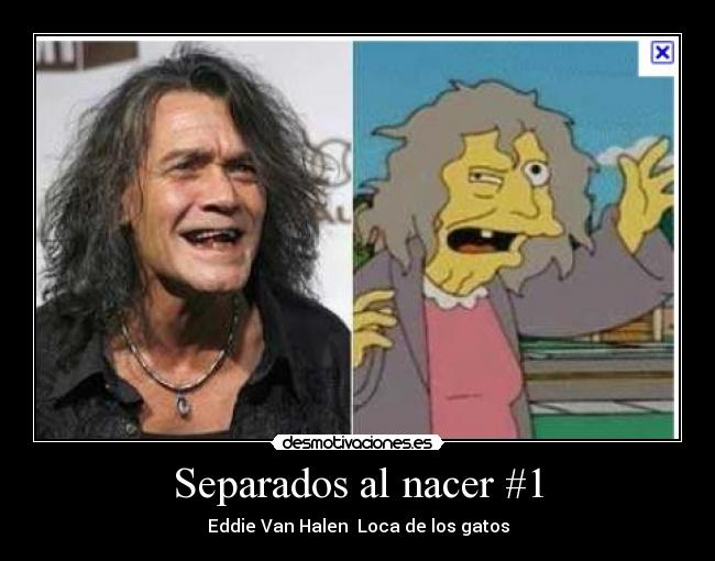 Separados al nacer #1 - Eddie Van Halen  Loca de los gatos