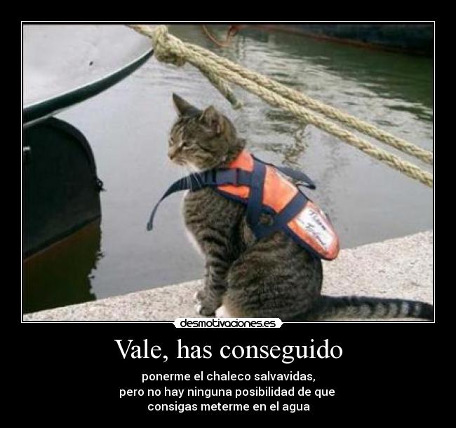 Vale, has conseguido - 