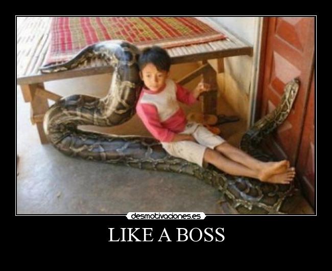 LIKE A BOSS - 
