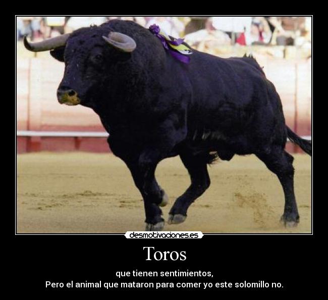 Toros - que tienen sentimientos,
Pero el animal que mataron para comer yo este solomillo no.