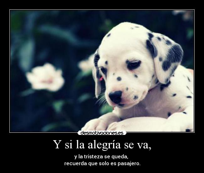 Y si la alegría se va, - y la tristeza se queda,
recuerda que solo es pasajero.