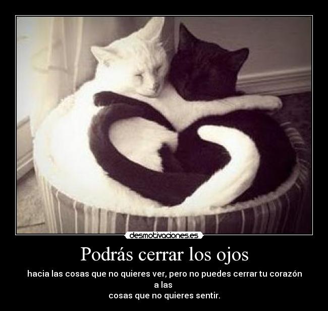 Podrás cerrar los ojos - hacia las cosas que no quieres ver, pero no puedes cerrar tu corazón a las
cosas que no quieres sentir.