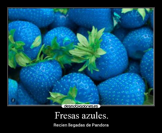 Fresas azules. -