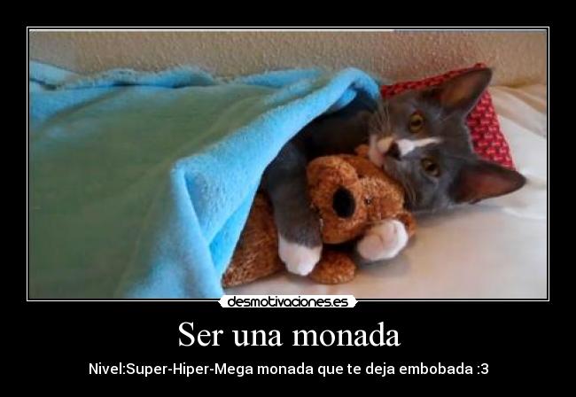 Ser una monada - Nivel:Super-Hiper-Mega monada que te deja embobada :3