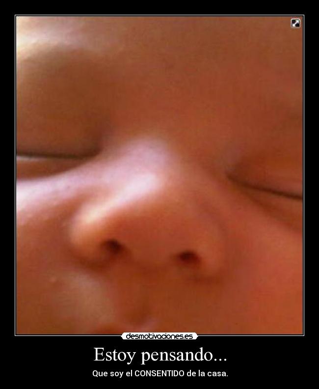 Estoy pensando... - Que soy el CONSENTIDO de la casa.