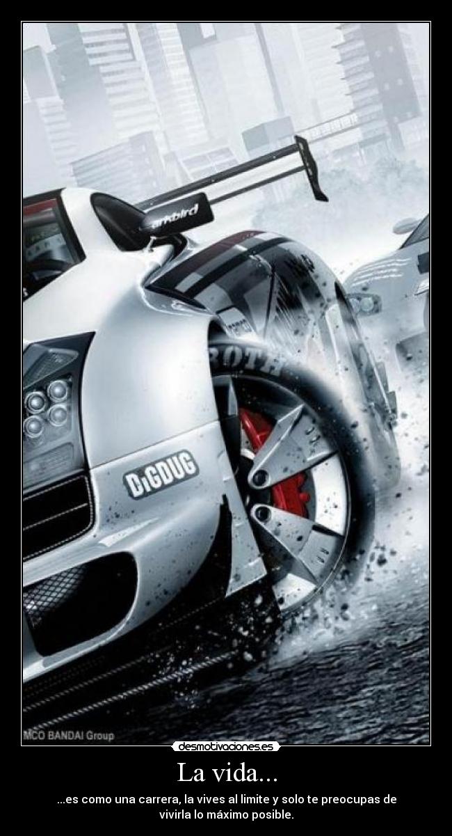 carteles vida coche vida maxima desmotivaciones